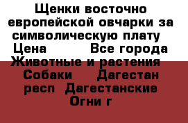 Щенки восточно европейской овчарки за символическую плату › Цена ­ 250 - Все города Животные и растения » Собаки   . Дагестан респ.,Дагестанские Огни г.